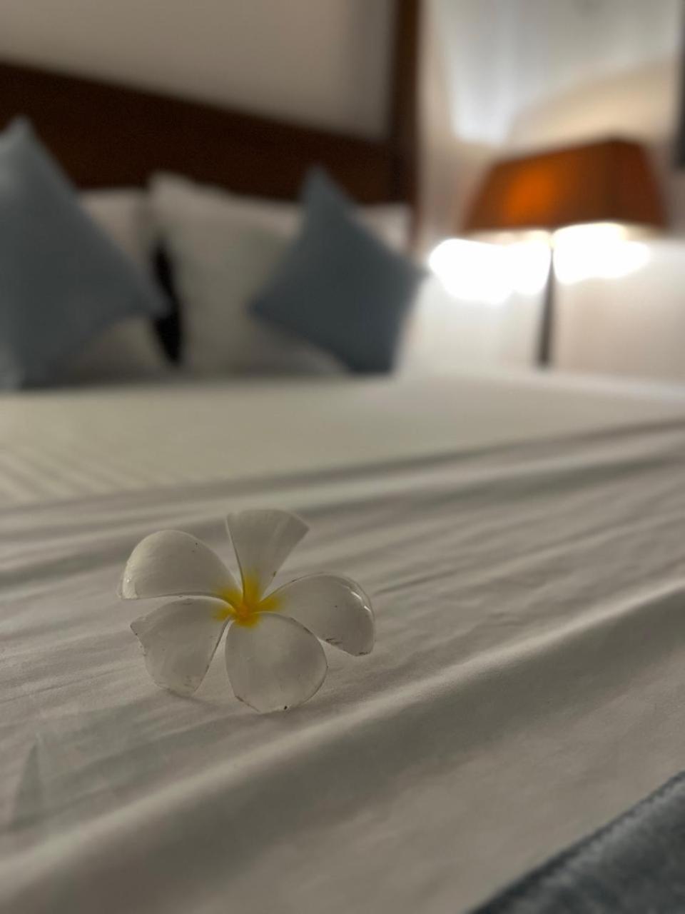 Beach Club Apartments إندوروفا المظهر الخارجي الصورة